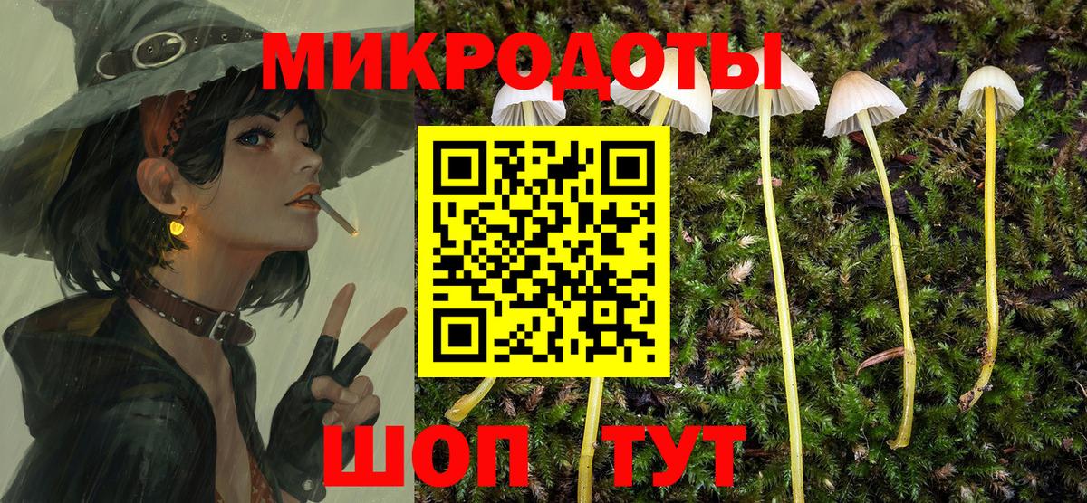 Муравленко  Галлюциногенные грибы MAGIC MUSHROOMS  Вход с VPN 