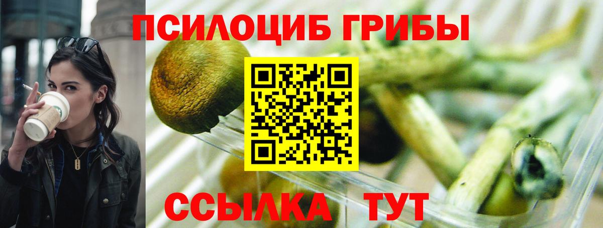 Псилоцибиновые грибы MAGIC MUSHROOMS Муравленко